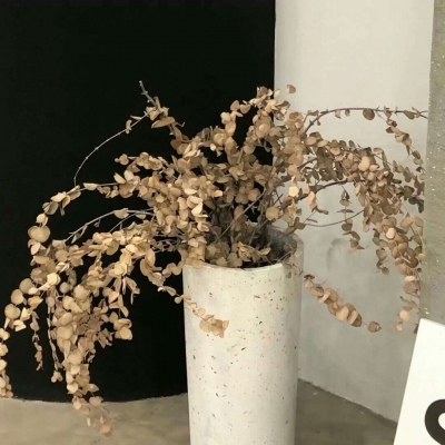 秀洲FurryQQ群介绍